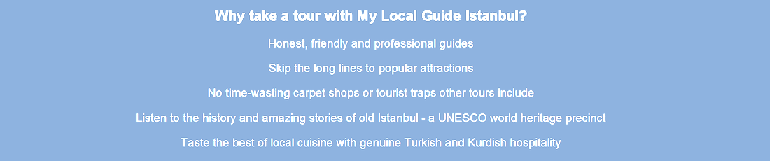 Tours of Istanbul with no carpet shops